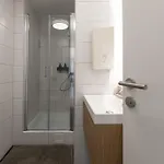 4 * 巴特斯哈尔巴赫